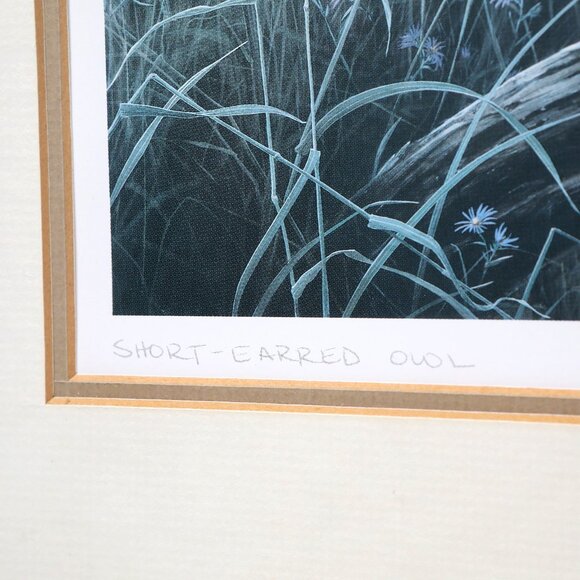 Vintage Don Li- Leger Short Eared Owl Framed Print 1986 Natural Art Artist BC - Picture 12 of 14